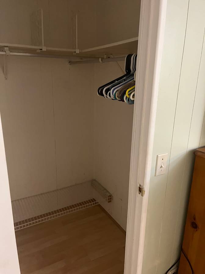 Aviva's room