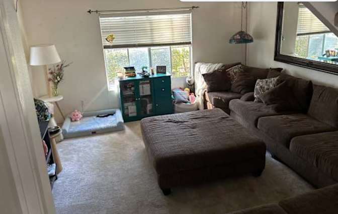 Sophia's room