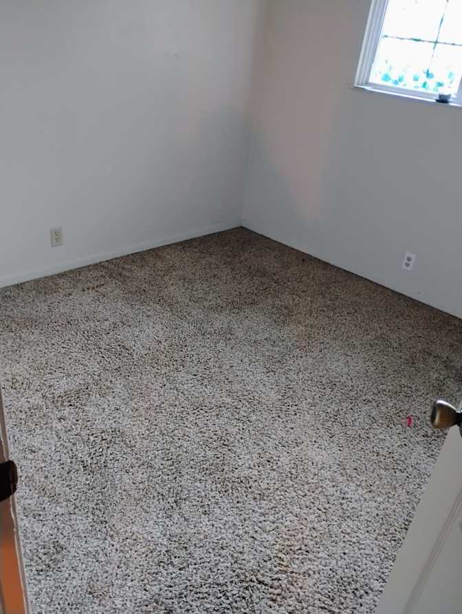 Janell's room