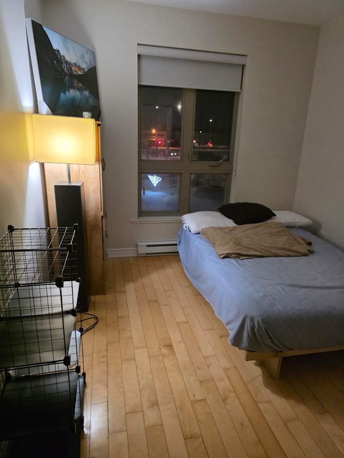 Dimitri's room