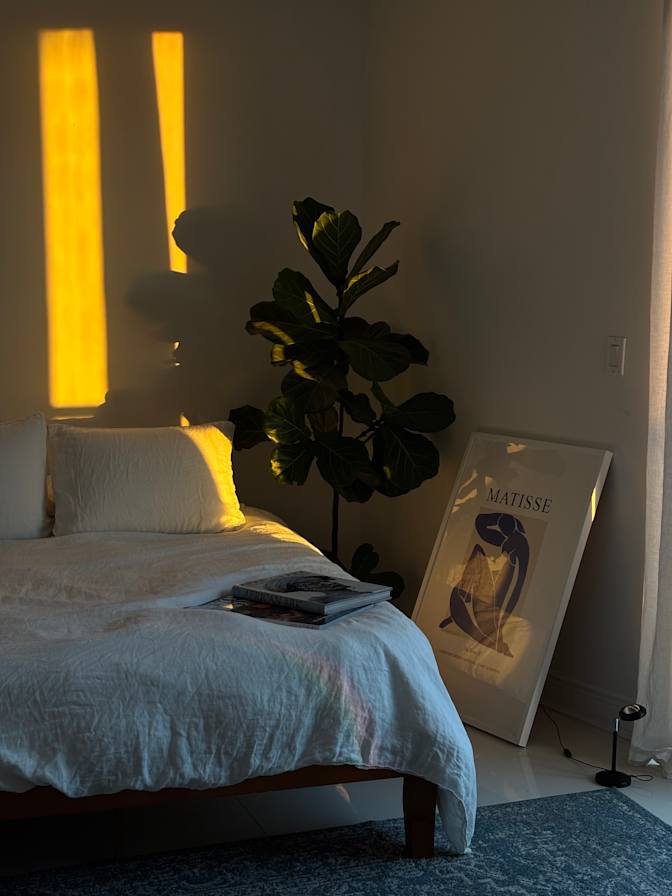 Arielle Elyse Spring's room