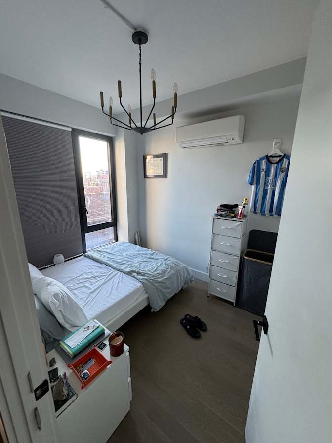 Sezgin's room