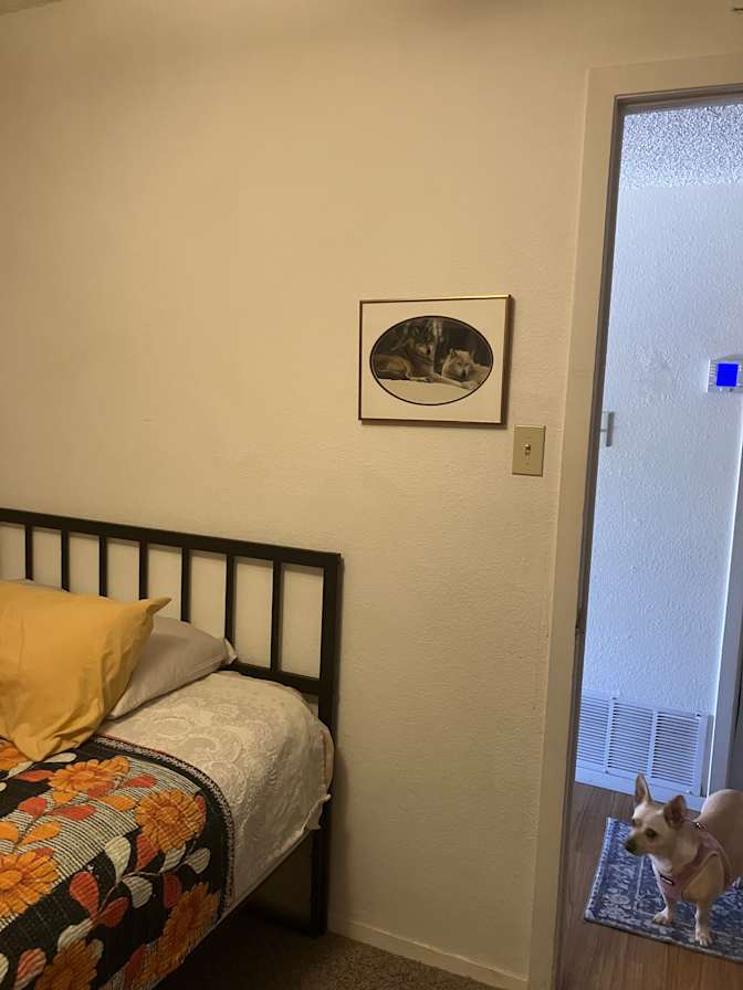 Debbie's room