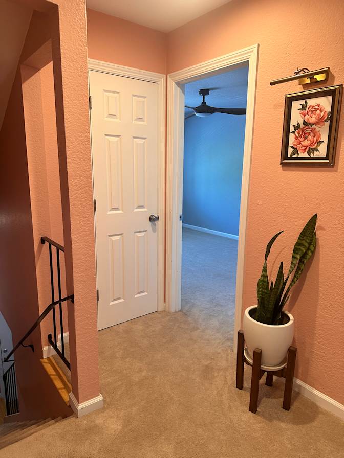 Ally's room