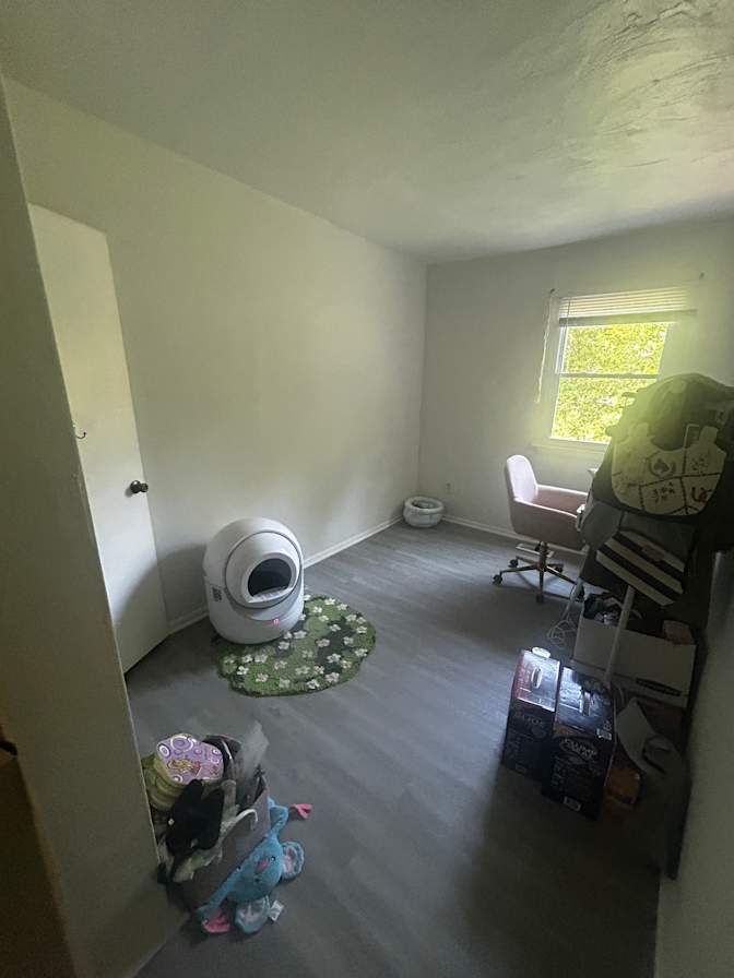 Rachel Topp's room