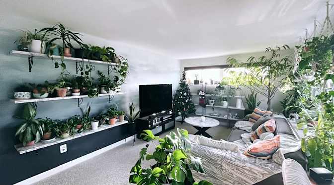 shelby jones's room
