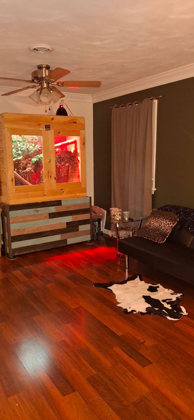 Michael Karlins's room