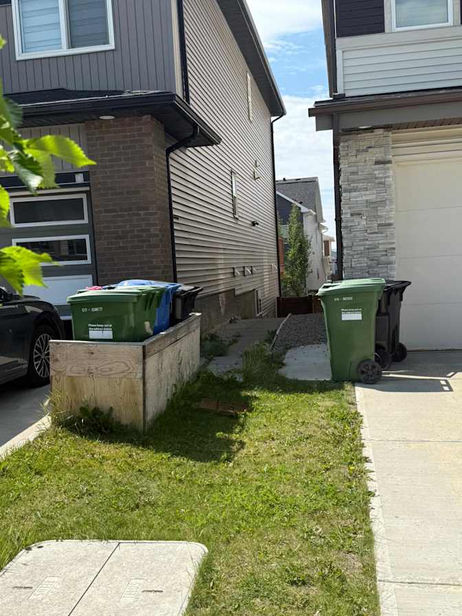 Jasmeen Bajwa's room