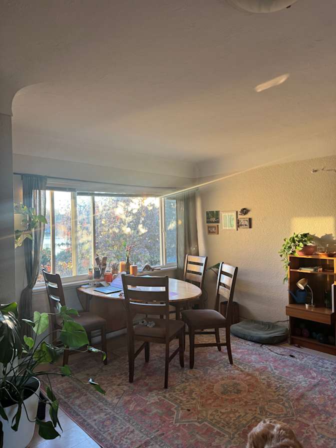 Katarina Keca's room