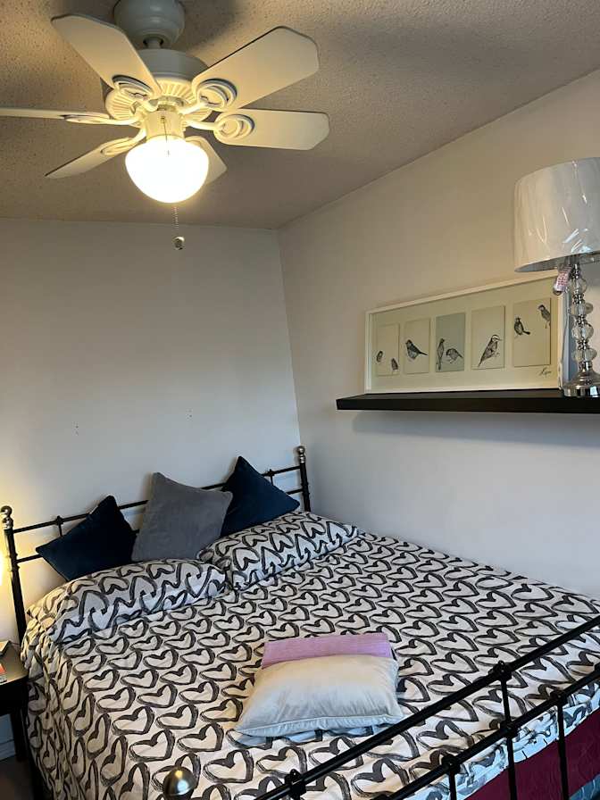 Hila Adilipour's room