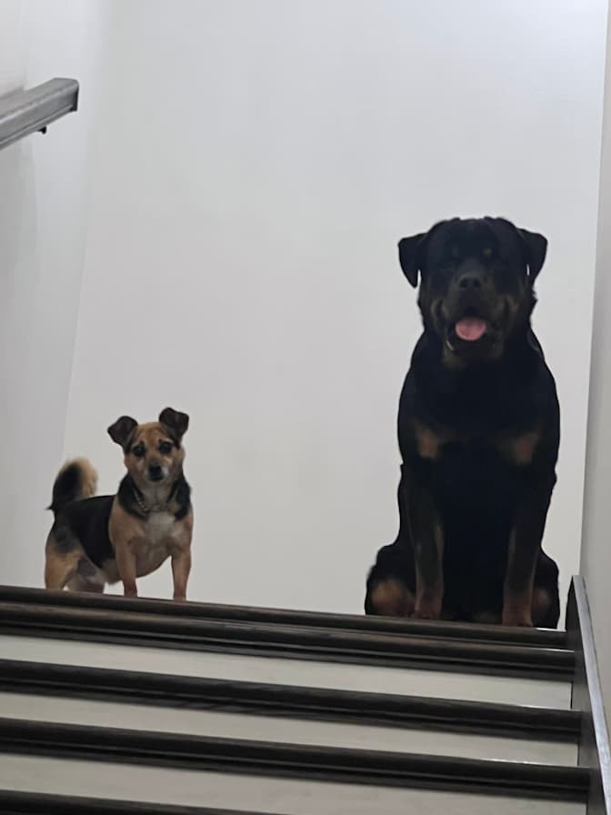 Jada's room