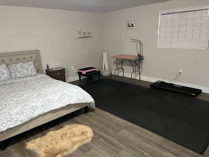 Ainsley Stapleton's room