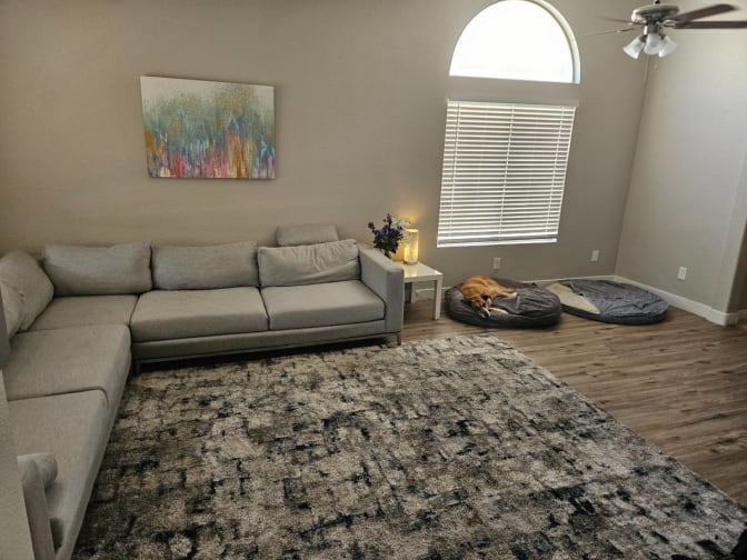 Matthew Caple's room