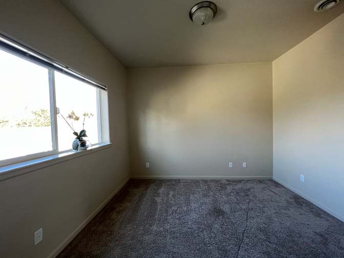 Lisa's room