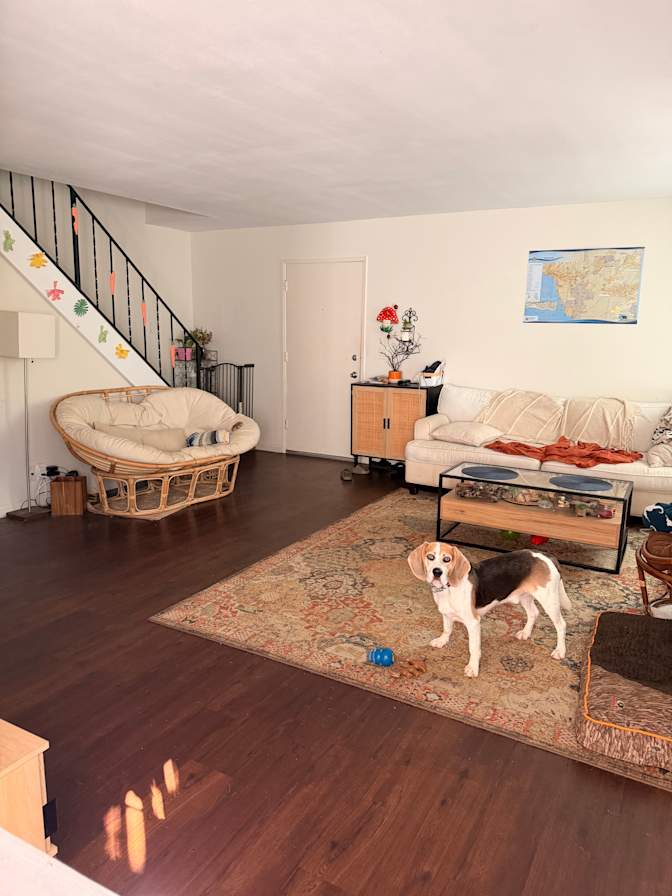 chaise's room