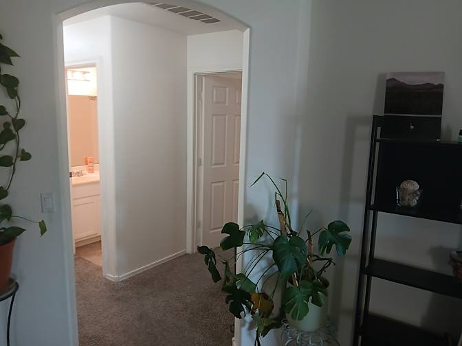 Mitchell's room