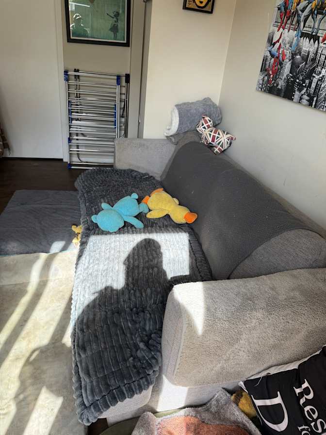 Joshy  Fitzgerald's room