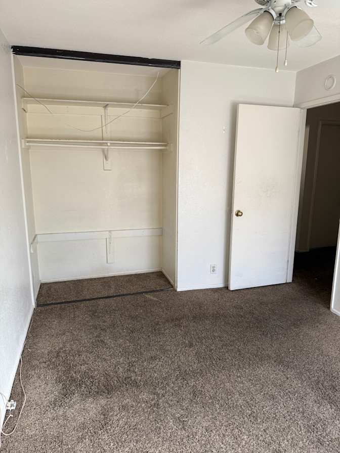 Brenda's room