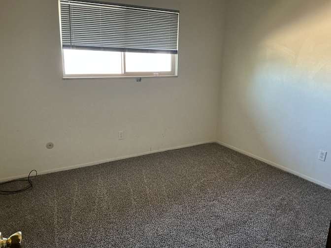 Paula Collins's room