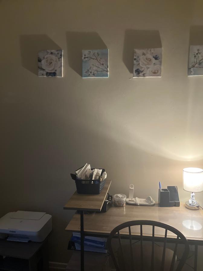 Quiet Professional's room