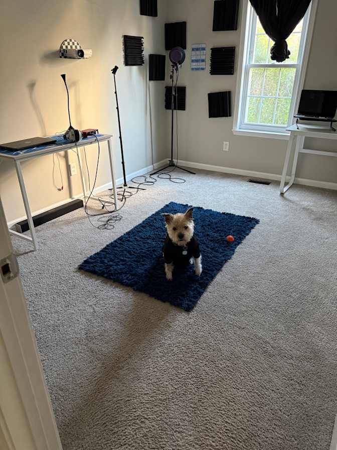 Kid's room