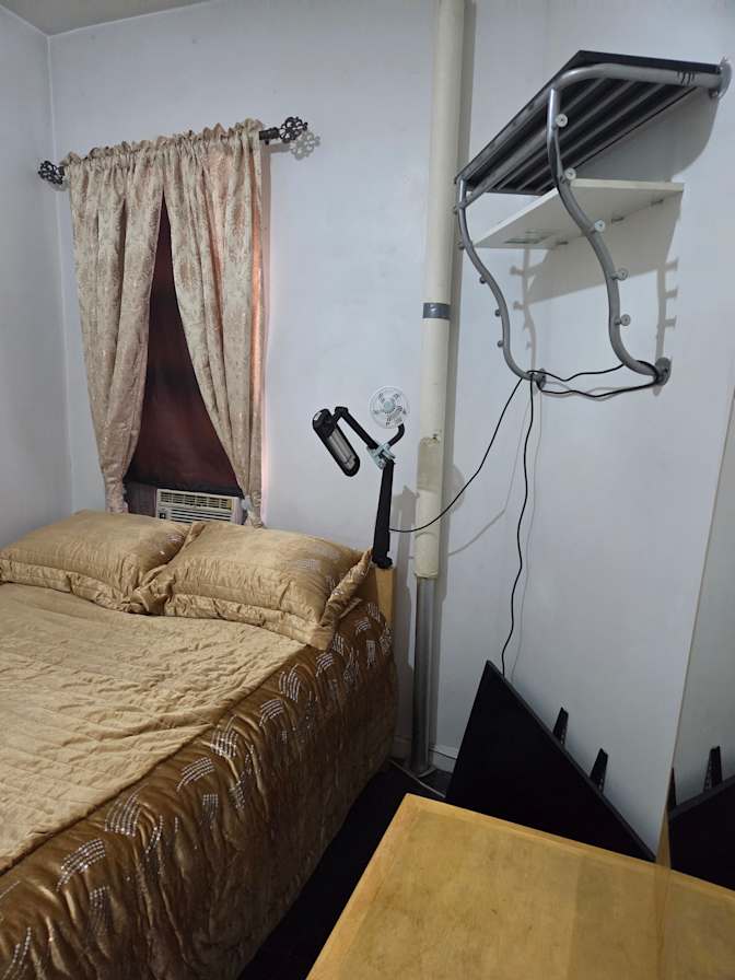 Ali's room