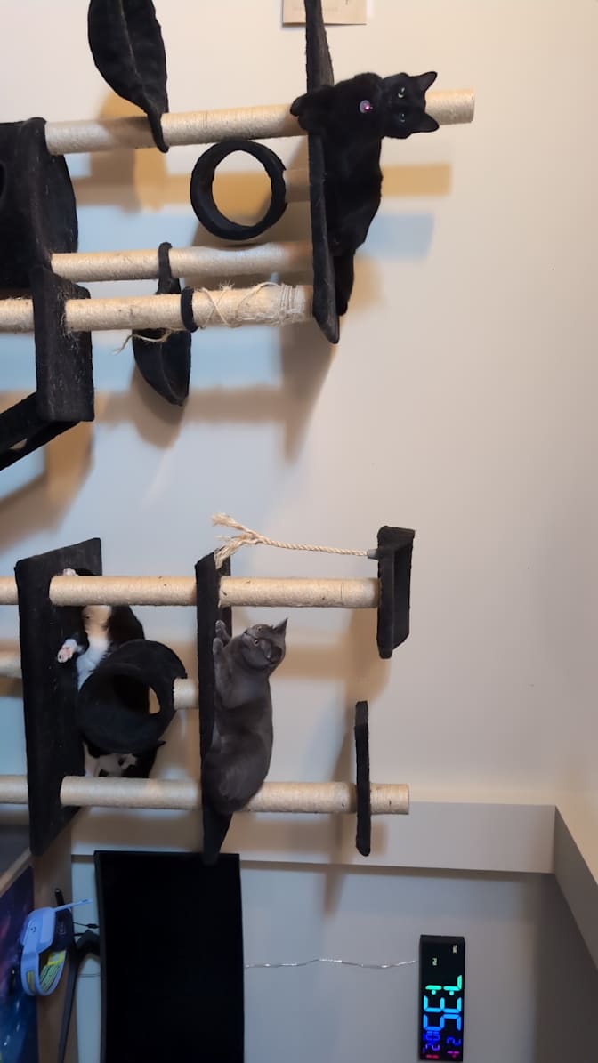 Ryan Baron's room