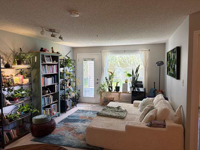 mackenzie's room
