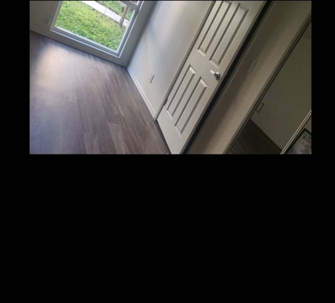 Moni's room