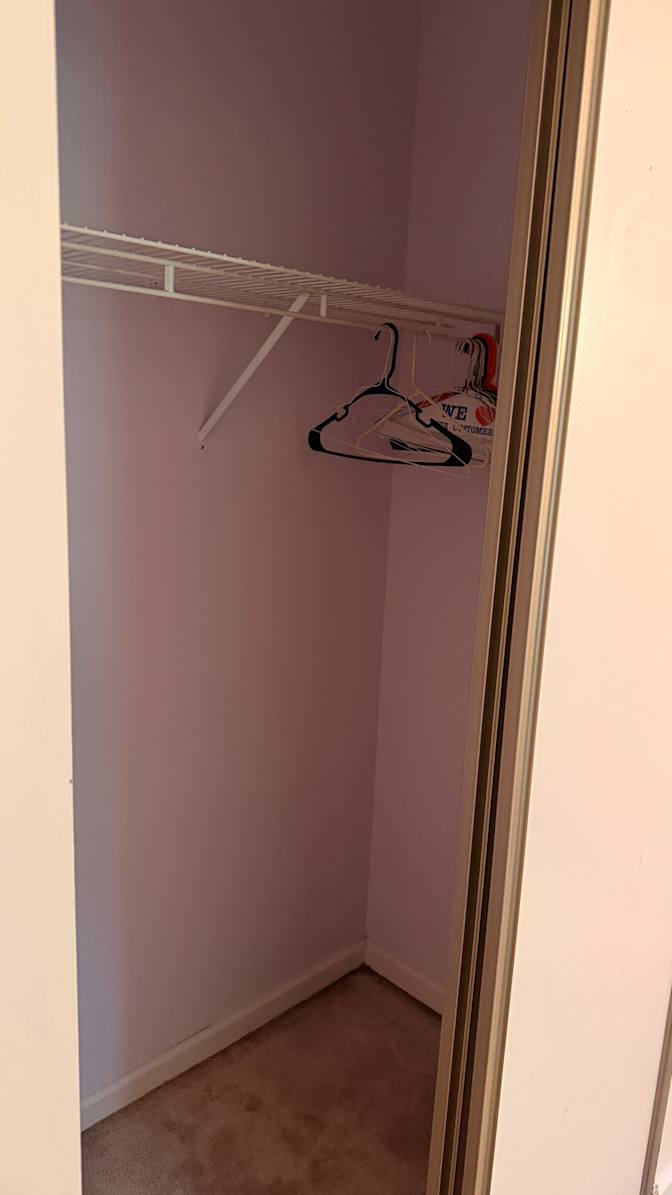 Michail's room