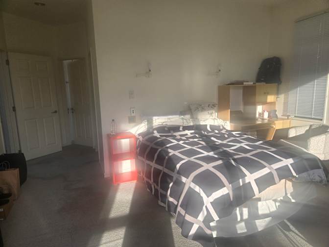 Peter and shulamite's room