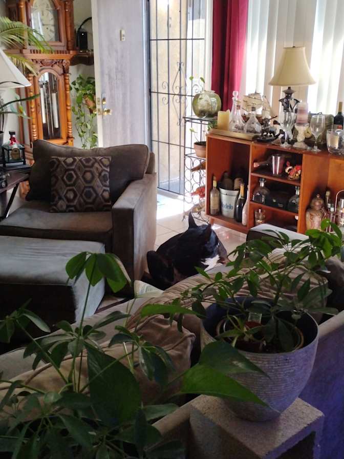 John's room