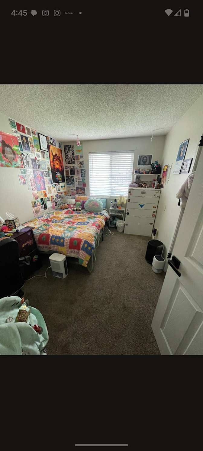 Tegan's room