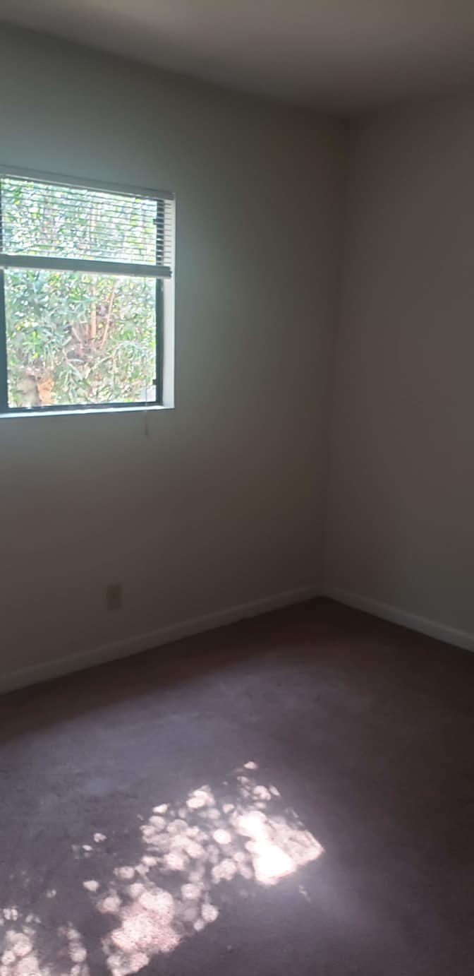Peter's room