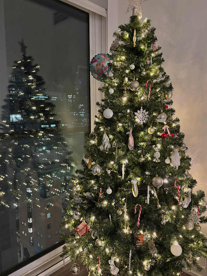 soara's room