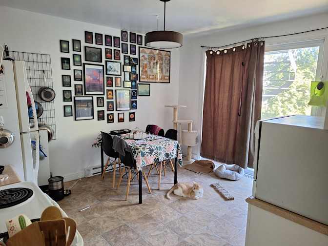 Moon's room