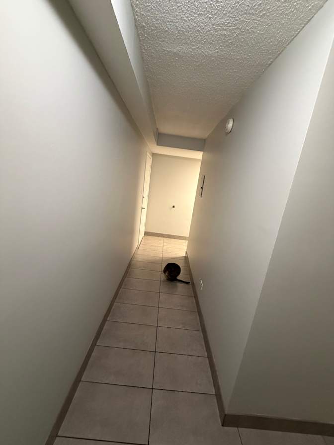 Dina's room
