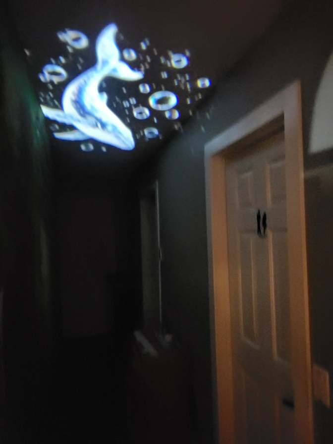 Eddy's room