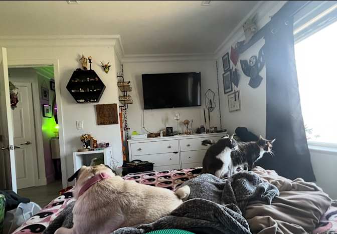 Ivett's room