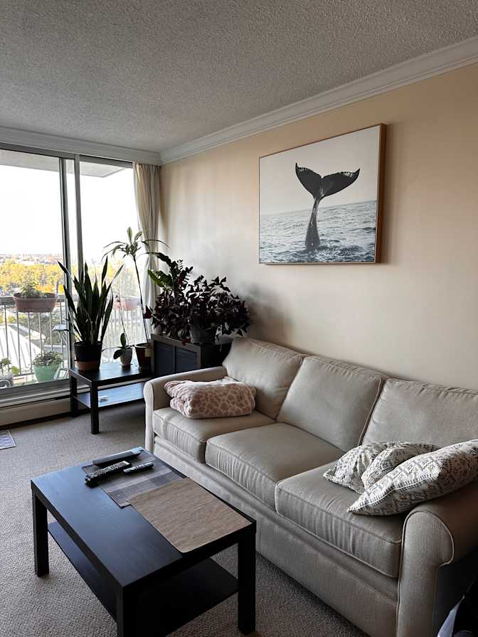 Olga Boiar's room