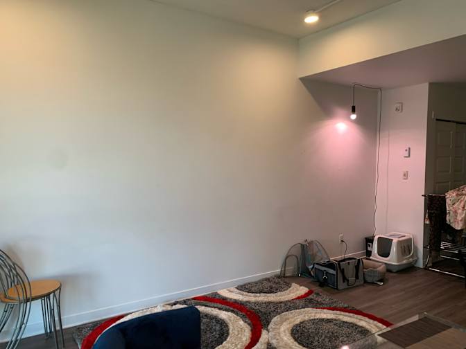 Noah's room