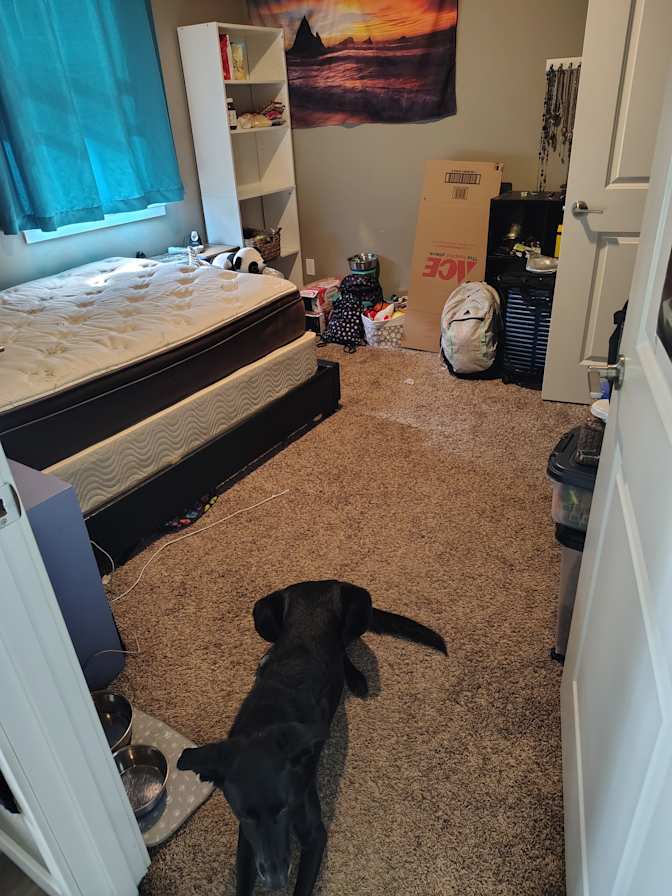 Emmaline's room