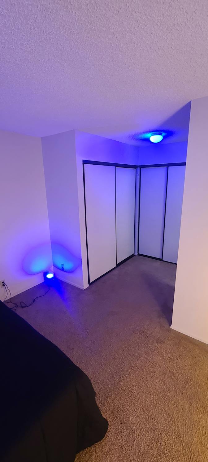 T.'s room