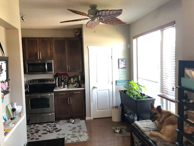Jill's room