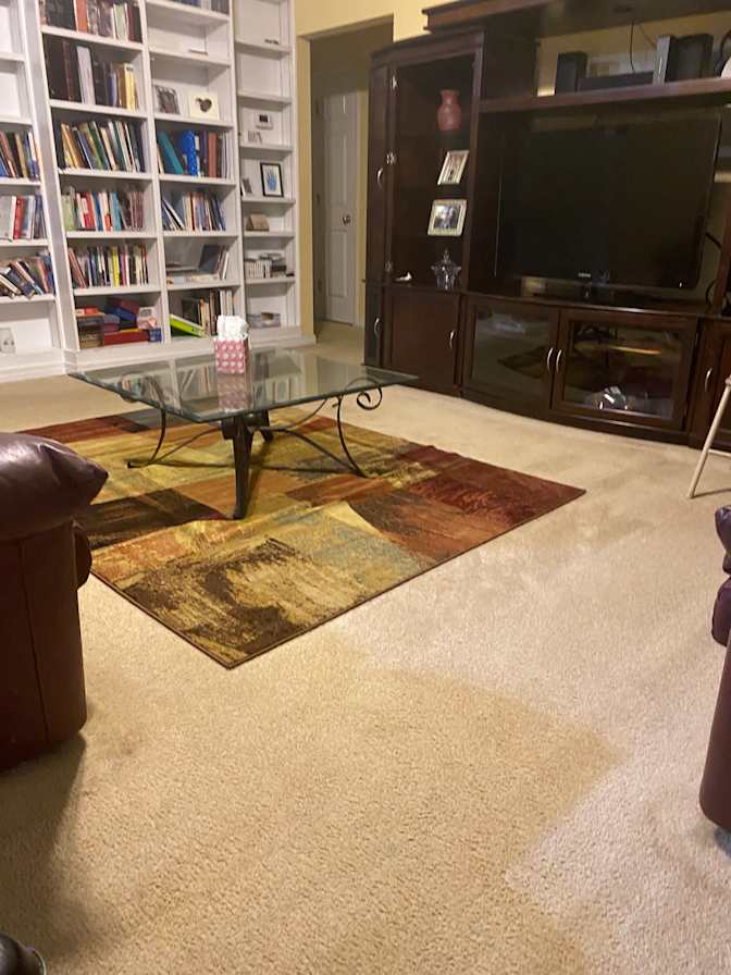 Michele H's room