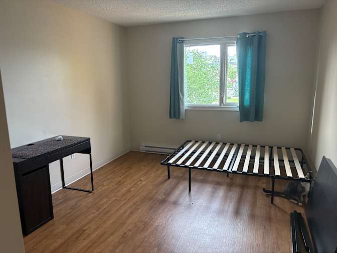 Abigail Grenke's room