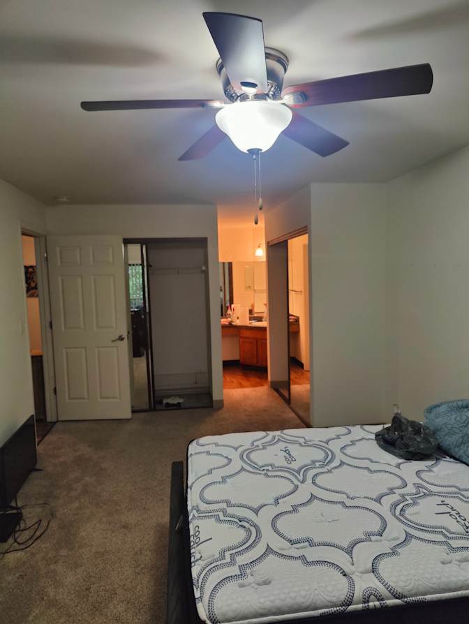 Artem's room
