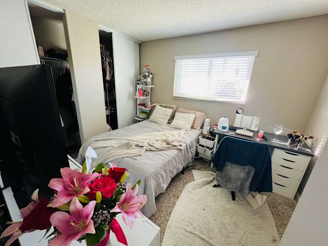 Valentina's room