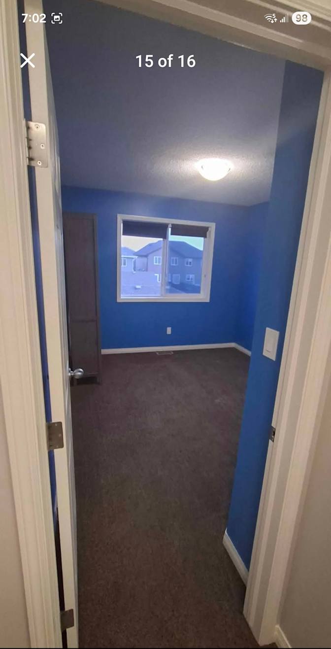 Davor's room