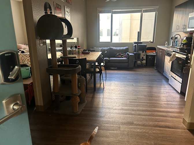 Naomi's room